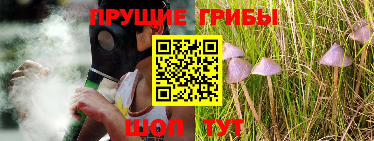 Изобильный  Галлюциногенные грибы Psilocybe  закладка  Вход с VPN 