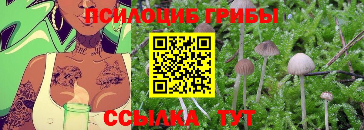 Псилоцибиновые грибы Psilocybine cubensis Изобильный